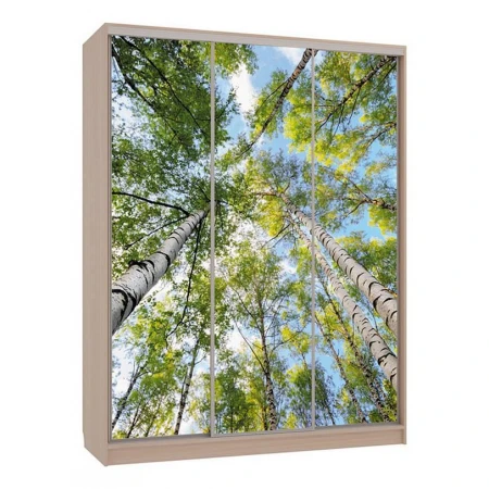 Шкаф-купе Бассо 7-600 57