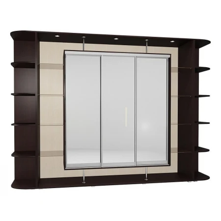 Шкаф-купе Мебелайн-27