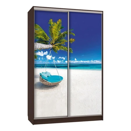 Шкаф-купе Рио 7-600 77