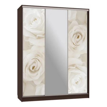 Шкаф-купе Бассо 10-600 розы