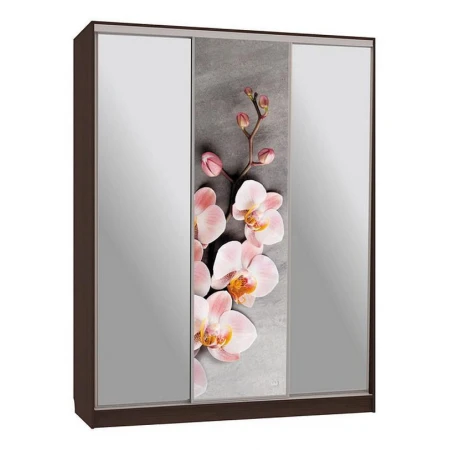 Шкаф-купе Бассо 9-600 78