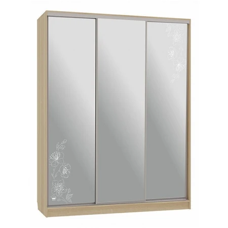 Шкаф-купе Бассо 4-600 токио