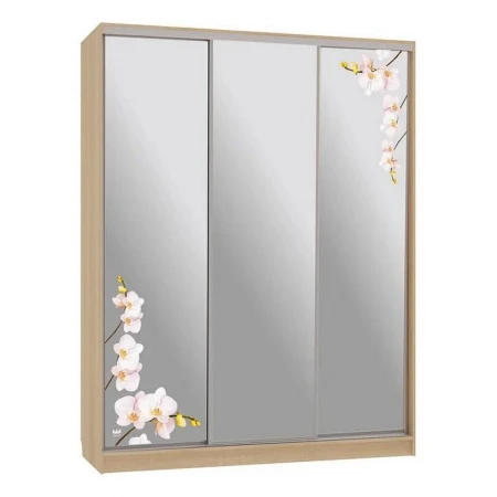 Шкаф-купе Бассо 4-600 орхидеи