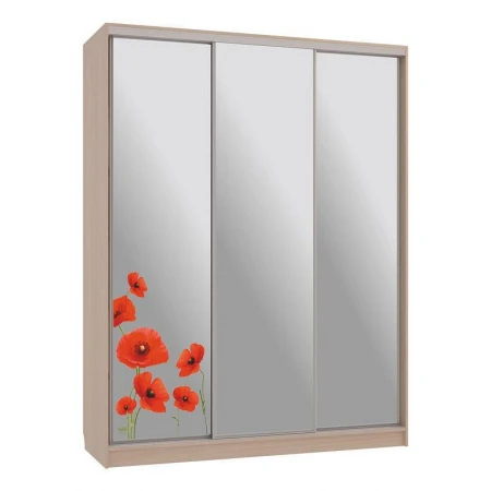 Шкаф-купе Бассо 4-600 маки