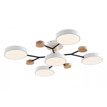 18073STD/5 WT (1) Люстра NW 