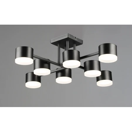 7197/8 BK (1) Люстра RL 