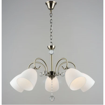 6157/5 AB (1) Люстра RL 