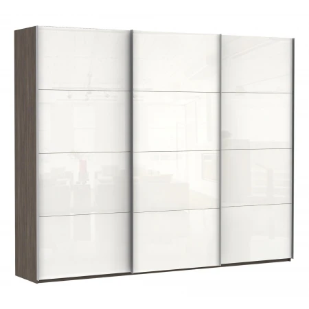 Шкаф-купе Эста Трио