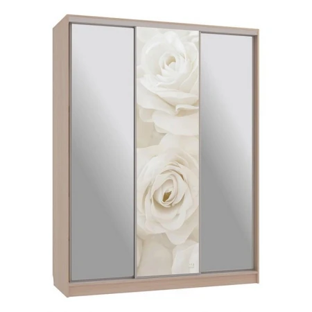 Шкаф-купе Бассо 9-600 розы