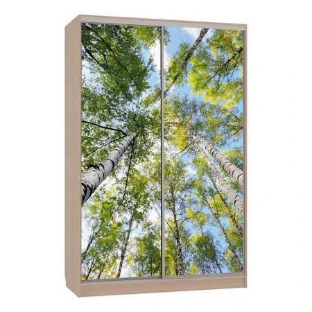 Шкаф-купе Рио 7-600 57