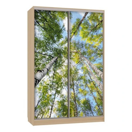 Шкаф-купе Рио 7-600 57