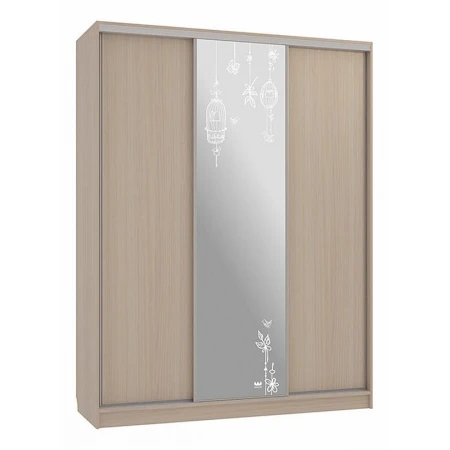 Шкаф-купе Бассо 1-600 птицы