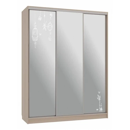 Шкаф-купе Бассо 4-600 птицы