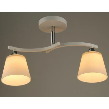 P7695/2  (1) - Люстры еврокаркас