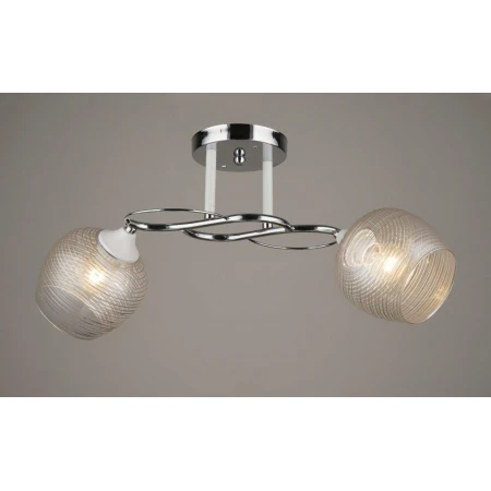 ВР-C1376/2 CR+WT (10) светильник потолочный [01095040] - Эконом класс люстры