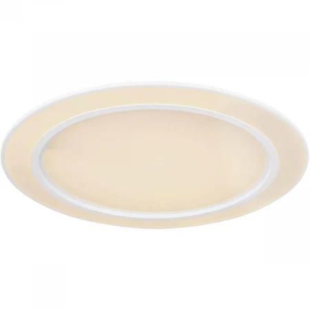 Потолочный светодиодный светильник Globo Dahla 48549-60