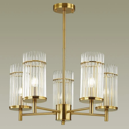 Люстра Odeon Light 4809/5 Formia