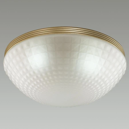 Светильник Odeon Light 4936/3C MALAGA