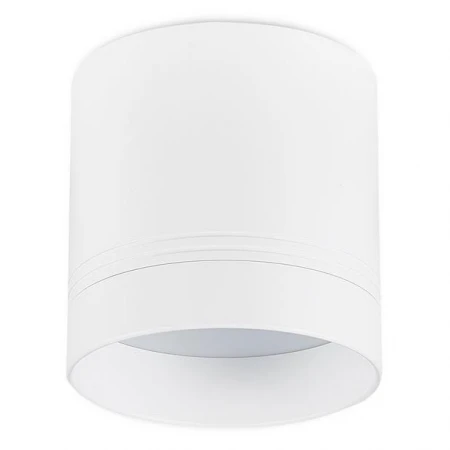 Точечный светильник Donolux DL18484R23W1W BARELL