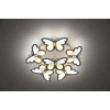 Потолочная светодиодная люстра Escada 10205/5LED