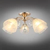 Потолочная люстра Omnilux Caldiero OML-29007-05