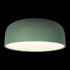 Потолочный светодиодный светильник Loft IT Axel 10201/480 Green Потолочный светодиодный светильник Loft IT Axel 10201/480 Green