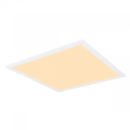 Настенно-потолочный светодиодный светильник Globo Sunao 41597D1