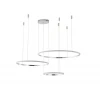 Подвесной светильник Zortes RINGOLIGHT ZRS.33321.120F