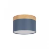 Накладной светодиодный светильник Loft IT Grape 10162 Blue