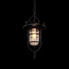 Подвесной светильник Loft IT Warehouse Loft1141