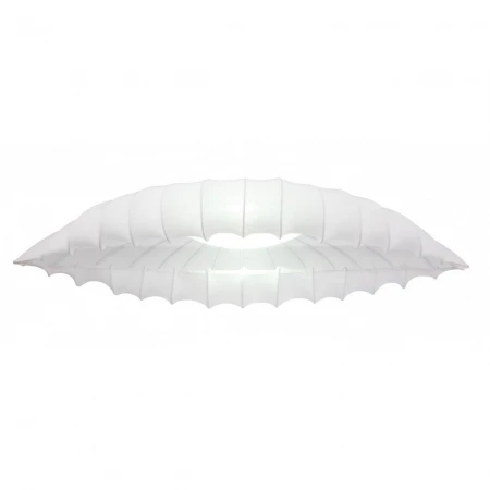 Потолочный светильник Arte Lamp Botticelli A2188PL-2CC