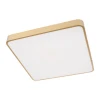 Потолочный светодиодный светильник Loft IT Flims 10228/D