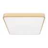 Потолочный светодиодный светильник Loft IT Flims 10228/D