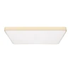 Потолочный светодиодный светильник Loft IT Flims 10228/E