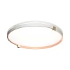 Настенно-потолочный светодиодный светильник Sonex Pale Olidi White 7646/DL