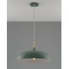 Подвесной светильник Moderli Hygo V10656-1P