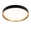 Потолочный светодиодный светильник Citilux Boss CL751351G