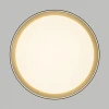Потолочный светодиодный светильник Citilux Boss CL751351G