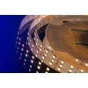 Светодиодная влагозащищенная лента DesignLed 28,8W/m 120LED/m 5050SMD теплый/холодный белый 5M 000515