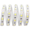 Светодиодная лента Apeyron 14,4W/m 60LED/m 5050SMD холодный белый 1M 10-67