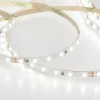 Светодиодная лента Elektrostandard 8W/m 120LED/m холодный белый 5M a056427