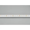 Светодиодная лента Arlight 14W/m 120LED/m 2216SMD теплый белый 5M 024432(2)