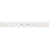 Светодиодная лента герметичная Arlight 21W/m 42LED/m 2835SMD теплый белый 5М FLT-PS-A42-23mm 24V 040918