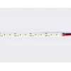 Светодиодная лента Ambrella Light 14,4W/m 180LED/m 2835SMD теплый белый 5M GS1301