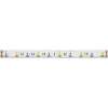 Светодиодная лента Maytoni 14,4W/m 60LED/m 5050SMD теплый белый + RGB 5M 201132