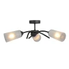 Потолочная люстра Vitaluce V2850-1/3PL