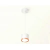 Комплект подвесного светильника Ambrella light Techno Spot XP (A2331, C8110, N8126) XP8110012