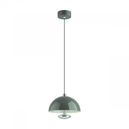 Подвесной светодиодный светильник Lumion Ledio Globe 6569/6L