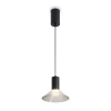 Подвесной светодиодный светильник Freya Lake FR6179PL-L6B