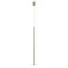 Подвесной светодиодный светильник Loft IT Reed 10358/830 Disk AB